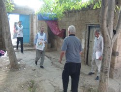 Yetîm-Dera Ewrûpayê mihtacên Qoserî kêfxweş kir