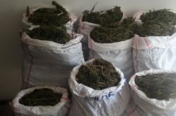 Tarsus'ta uyuşturucu operasyonu