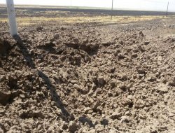 Yola tuzaklanan patlayıcı imha edildi