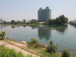 Seyhan Nehri Kirden ve Kokudan Geçilmiyor