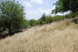 Çifte Havuz Mezarlığının hali içler acısı foto