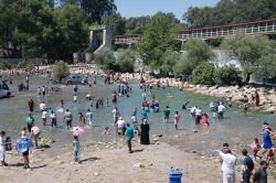 Tarsuslular serinlemek için baraja akın etti