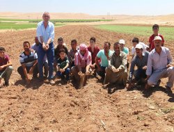 Li Deşta Pirsûsê 15 hezar donim zeviya çandî dike ziwa bibe