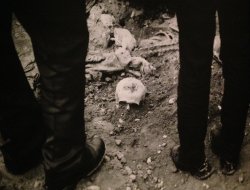 Sala 21 emîn a Komkujiya Srebrenîtsayê