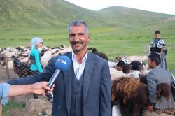Göçerler yayla hayatından memnun