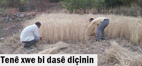 Hesada bi tirpanê ya ku makîneya dirûnê naçe wir