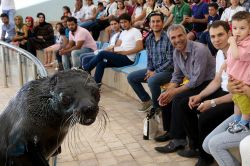 Gaziantep Hayvanat Bahçesini bayramda 90 bin kişi ziyaret etti