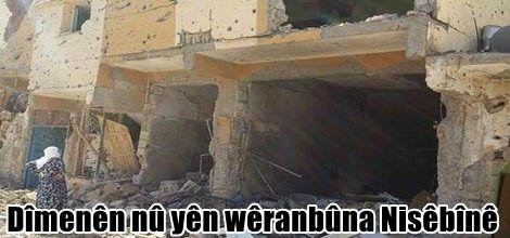 Dîmenên nû yên wêranbûna Nisêbînê