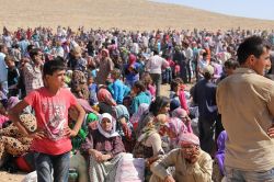 Suriyeliler 'vatandaşlık' konusunda kaygılı