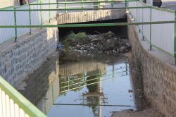 Ceylanpınar'da mahalleli hastalık saçan dereye kalıcı çözüm istiyor foto