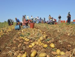 Karkerên kartolan diyar kirin ku yewmiyeya wan kêm e