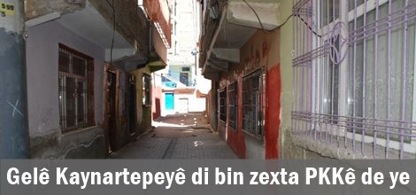Gelê Kaynartepeyê di bin zexta PKKê de ye