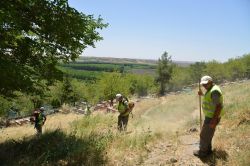 Uzun süredir temizlenmeyen mezarlıkta çalışma başlatıldı