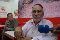 Yaşlı çınarlar tanıklık ettikleri darbeleri anlattı video foto