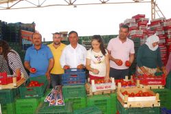 Denizli’den 50 bin ton domates ihraç edildi foto