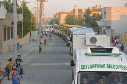 Şanlıurfa Ceylanpınar'da belediye araçları darbe karşıtı için yürütüldü foto