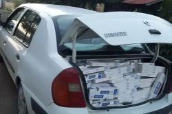 Bingöl’de 6 bin paket kaçak sigara ele geçirildi