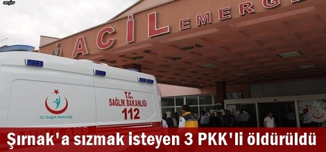 Şırnak'a sızmak isteyen 3 PKK'li öldürüldü