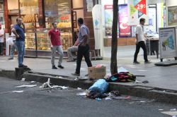 Diyarbakır’da Gülen’e ait kitaplar gizli bir şekilde çöpe atılıyor