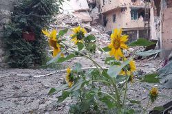 Şırnak’ta yıkıntılar arasında çiçekler açtı