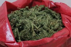 Diyarbakır'da 142 kilo esrar ele geçirildi