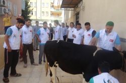 Başarısız darbe girişimi için Şanlıurfa'da şükür kurbanı kestiler