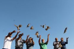 Batman’da doğaya 250 keklik salıverildi