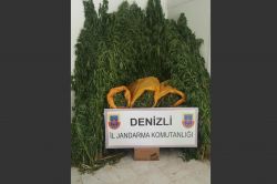 Denizli'de uyuşturucu operasyonu