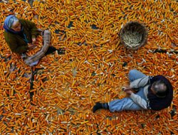 Tarım ve İnsan Konulu Fotoğraf Yarışması