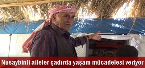 Nusaybinli aileler çadırda yaşam mücadelesi veriyor
