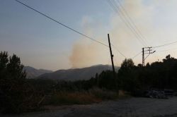 Bitlis’te çıkan orman yangını korkulu anlar yaşattı