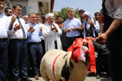 Ergani Kaymakamlığından  darbe karşıtı etkinlik