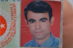 Batman Hasankeyf'te badem ağacından düşen şahıs ağır yaralandı