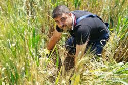 Batman’da süne mücadelesi çalışmaları tamamlandı foto