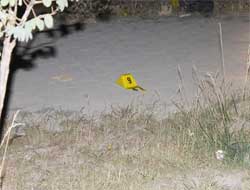 Van'da Polis Aracına Saldırı