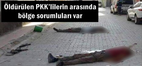 Öldürülen PKK’lilerin arasında bölge sorumluları var