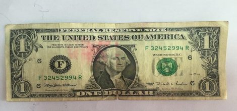 PKK operasyonunda bir dolar ve FETÖ materyalleri bulundu