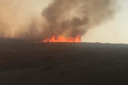 Anız yangını önleme çalışmaları devam ediyor