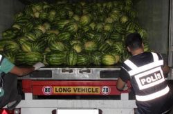 Karpuzların altına gizlenmiş 400 kilo esrar ele geçirildi