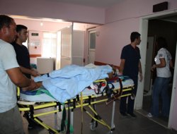 Nusaybin'de Trafik Kazası: 1 Yaralı