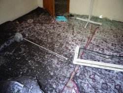 Şideta teqînê bi ronîbûna dinyayê derket holê