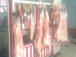 Hayvan Fiyatları Düştü Et Fiyatları Yükselişte