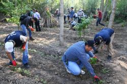 Diyarbakır’daki uyuşturucu baskınlarında 28 kişi tutuklandı video foto