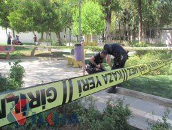 Li Siwêrekê êrîşa çekdarî