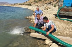 DSİ’den balıklandırma çalışması