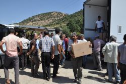 Çiftçilere 840 bin çilek fidesi dağıtıldı video foto