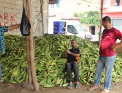 İhracat Olmayacak Söylentileri Üreticileri Düşündürüyor