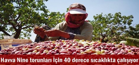 Havva Nine torunları İçin 40 derece sıcaklıkta çalışıyor video foto