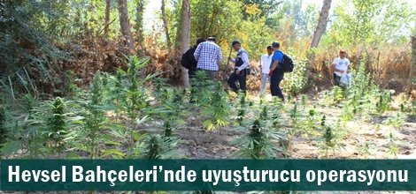 Hevsel Bahçeleri’nde uyuşturucu operasyonu