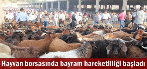 Hayvan borsasında bayram hareketliliği başladı